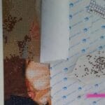 Diamond Painting mit eigenem Bild erstellen – Ihr persönliches Wunschmotiv photo review