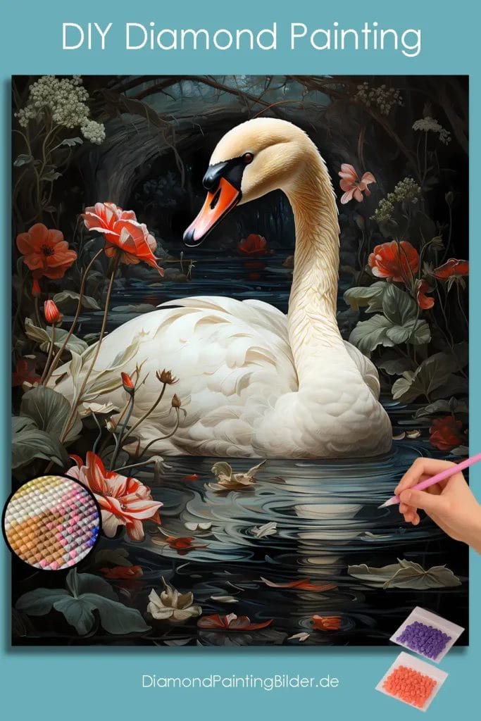 Shy Swan