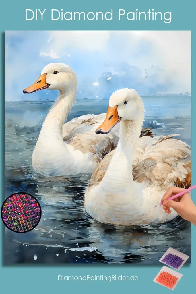 Amazing Swan Couple