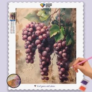 Deep Purple Grapes