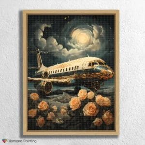 Luxury Plane