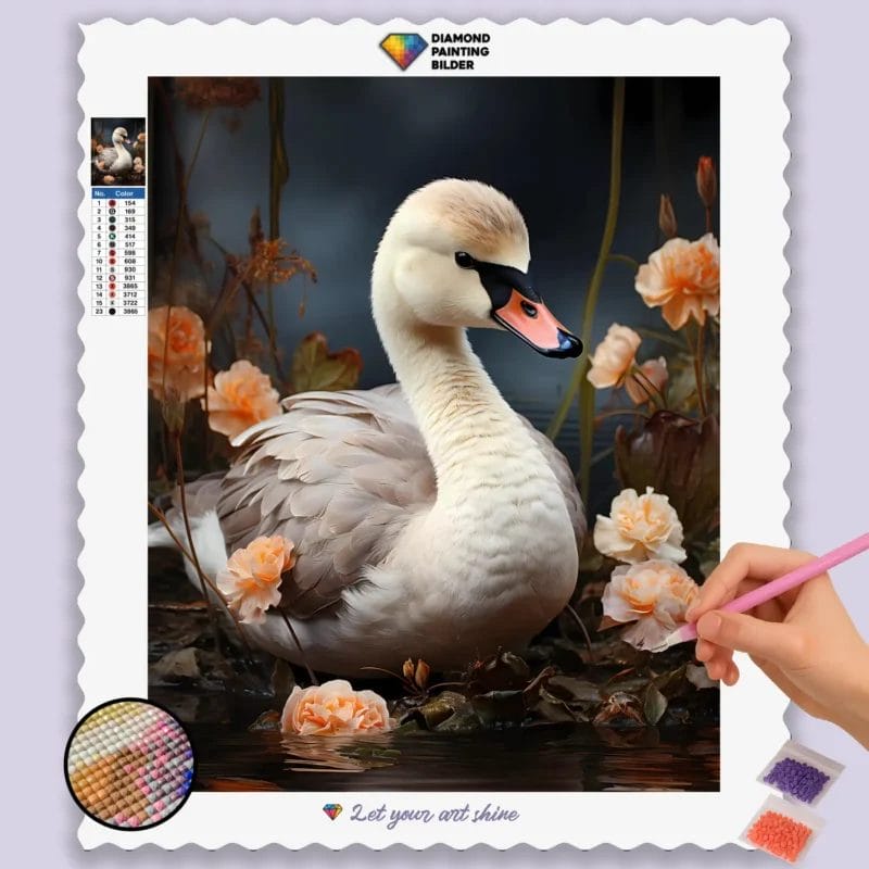 Baby Swan