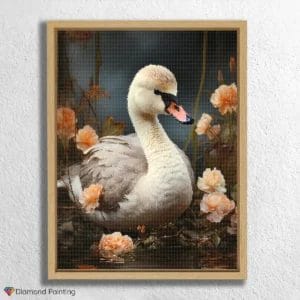 Baby Swan
