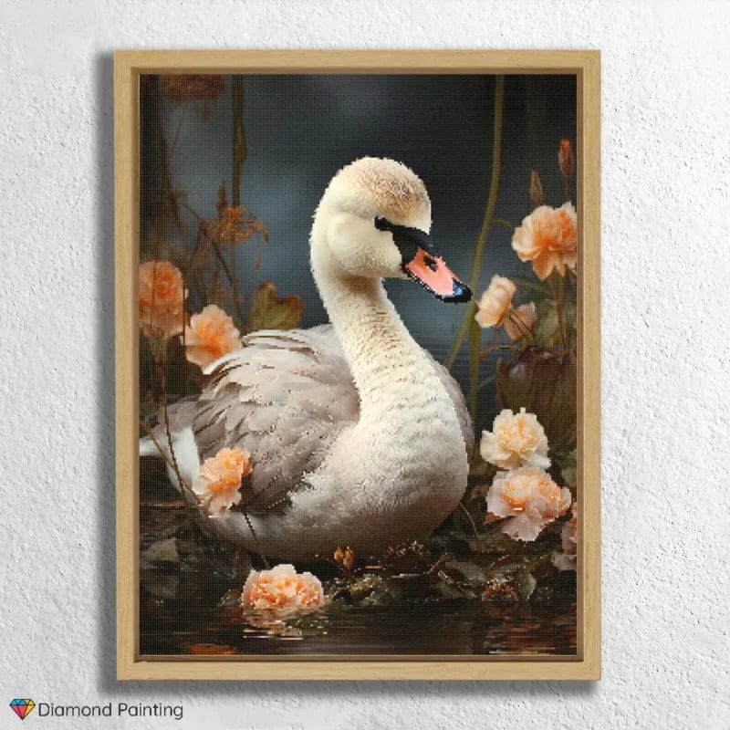 Baby Swan