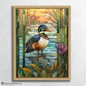 Wood Duck