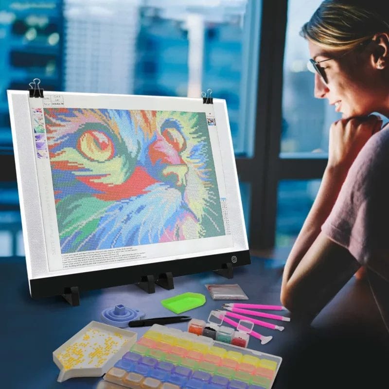 20073 Paint by numbers Diamond Painting webp