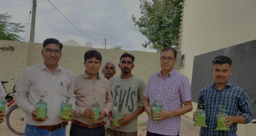 Tree Plantation 3 copy DIY diamond Painting Bilder